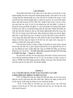 Tổ chức thực hiện công tác kế toán NVL tại công ty TNHH Tân Phát – Thanh trì - Hà Nội