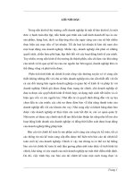 Giải pháp đề xuất nhằm cải thiện tình hình tài chính và nâng cao hiệu quả sử dụng vốn kinh doanh của công ty xnk thiết bị điện ảnh – truyền hình