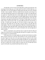 Tổ chức công tác kế toán nguyên vật liệu tại công ty Quan hệ Quốc tế đầu tư sản xuất