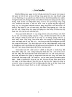 Một số Giải pháp kỹ thuật nghiệp vụ nhằm nâng cao hiệu quả hoạt động nhập khẩu tại Cty dịch vụ du lịch và TM TST