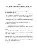 Hạch Toán Vốn Bằng Tiền Tại Công Ty Cổ Phần Sản Xuất Và Thương Mại Hóa Chất An Phú