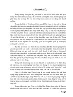 Một số giải pháp cơ bản nhằm đẩy mạnh tiêu thụ sản phẩm ở Công ty cổ phần May Thăng Long