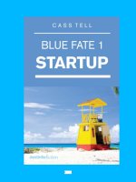 Blue Fate 1 STARTUP