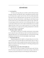 Xây dựng thị trường giao sau nhằm phòng ngừa rủi ro biến động giá cà phê tại Việt Nam