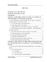 Hoạt động nhập khẩu ôtô tại chi nhánh công ty cổ phần SX – XNK Ninh Bình tại Hà Nội