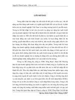 Thực trạng và giải pháp của hoạt động đầu tư phát triển trong công ty XNK Tổng Hợp I