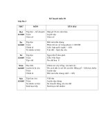 Kế hoạch tuần 30