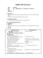 Giáo án Chính tả - Lớp 2 - Chim sơn ca và bông cúc trắng