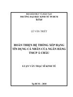Hoàn thiện hệ thống Xếp hạng tín dụng khách hàng cá nhân tại Ngân hàng TMCP Á Châu