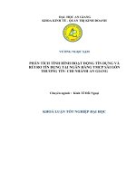 Phân tích tình hình hoạt động tín dụng và rủi ro tín dụng tại ngân hàng tmcp sài gòn thương tín- chi nhánh an giang