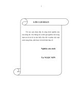  Quản lý rủi ro lãi suất trong hoạt động kinh doanh của Ngân hàng Thương mại Việt Nam 1