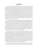 Tổ chức kế toán VL& CC lao động nhỏ với việc với việc nâng cao hiệu quả sử dụng VLĐ tại Cty Cầu 3 Thăng Long