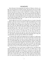 Giải pháp thúc đẩy hoạt động kinh doanh XNK của công ty may chiến thắng