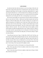 Hoàn thiện công tác kế toán các nghiệp vụ thanh toán tại Công ty Cổ phần đầu tư Mở Du lịch Việt Nam 