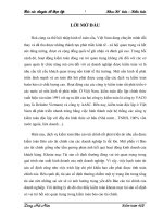 Một số giải pháp nhằm hoàn thiện quy trình kiểm toán TSCĐ trong kiểm toán BCTC tại công ty TNHH Deloitte Vietnam(2008