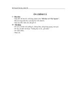 Giáo án các tiết ôn tập lớp 3 - tuần 28