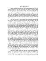 Hoàn thiện công tác kế toán NVL tại Cty Phát triển kinh tế kỹ thuật VN