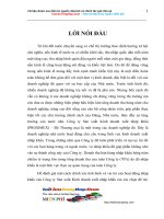 Một số giải pháp nhằm nâng cao hiệu quả hoạt động kinh doanh nhập khẩu hàng hoá.doc