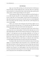 Thực trạng hạch toán tiêu thụ hàng hoá và xác định kết quả tiêu thụ.doc