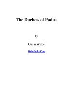 The Duchess of Padua