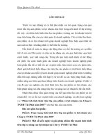 Phân tích tình hình tiêu thụ sản phẩm và lợi nhuận của Công ty TNHH Tài Phát năm 2007