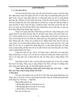 Hoạt động Marketing nhằm phát triển đường bay Việt Nam – Nhật Bản của Tổng công ty hàng không Việt Nam