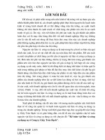 Kế toán vật liệu và công cụ dụng cụ ở công ty Giấy Trúc Bạch