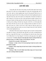 Tổ chức công tác kế toán tập hợp chi phí và tính giá thành sản phẩm tại Công Ty Cổ Phần và Đầu Tư Xây Dựng Số 1 Hà Nội