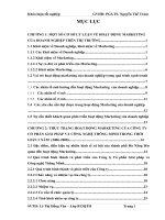 Nâng cao hiệu quả hoạt động Marketing tại CTCP Giải Pháp và Công Nghệ Thông Minh.doc