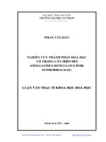 Nghiên cứu thành phần hoá học có trong cây phèn đen (phyllanthus reticulatus poir euphorbiaceae)