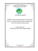 Nghiên cứu đa dạng di truyền cây tiêu (Piper nigrum L.) tại thị xã Bà Rịa thuộc tỉnh Bà Rịa – Vũng Tàu bằng kỹ thuật RAPD