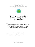 Hiện trạng hoạt động của các cửa hàng kinh doanh cá cảnh ở TP. Hồ Chí Minh