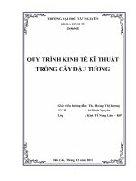 Quy trình kinh tế kĩ thuật trồng cây đậu tương