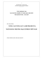 Nâng cao năng lực cạnh tranh của ngân hàng thương mại cổ phần viêt nam