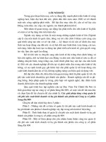 Các giải pháp tăng cường quản lý chi phí sản xuất kinh doanh và hạ giá thành sản phẩm tại Công ty cổ phần Sông Đà 909.doc