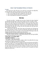 Chiến lược marketing đối với trà xanh có ga Ikun của tân hiệp phát 2