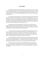 THỰC TRẠNG HOẠT ĐỘNG MÔI GiỚI BẢO HiỂM TRONG THỊ TRƯỜNG BẢO HiỂM ViỆT NAM.doc