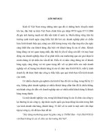 Xây dựng marketing quan hệ giữa công ty TNHH Hàn - Việt (HANVICO) với khách hàng là các tổ chức tại thị trường Hà Nội