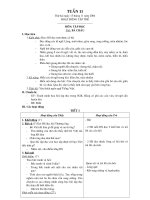 Giáo án Tiếng Việt khối 2 - Học kì I - Tuần 11