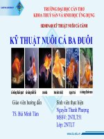 Báo cáo chuyên đề tìm hiểu về cá ba đuôi