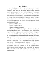 Hoàn thiện kế toán bán hàng và xác định kết quả tiêu thụ tại công ty Tiên Du