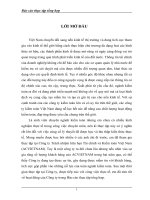 Thực trạng tổ chức kiểm toán tại Công ty TNHH Tài chính và Kiểm toán Việt Nam