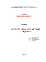Sản xuất nông lâm kết hợp ở Việt Nam