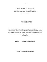 Phân tích vốn và hiệu quả sử dụng vốn tại Công ty Cổ phần Dịch vụ Tổng hợp Sài Gòn.pdf