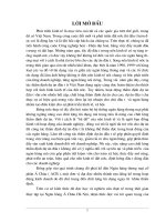 Một số giải pháp nâng cao chất lượng thẩm định tài chính dự án đầu tự tại ACB