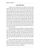 Hoàn thiện công tác hạch toán thành phẩm và tiêu thụ thành phẩm tại Công ty XNK Việt An