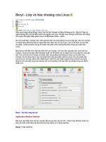 Beryl - Lớp vỏ hào nhoáng của Linux 