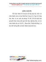 Một số giải pháp nhằm hoàn thiện cơ cấu tổ chức bộ máy quản lý.doc