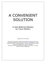 A Convenient Solution