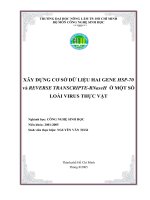 Xây dựng cơ sở dữ liệu  Gene 